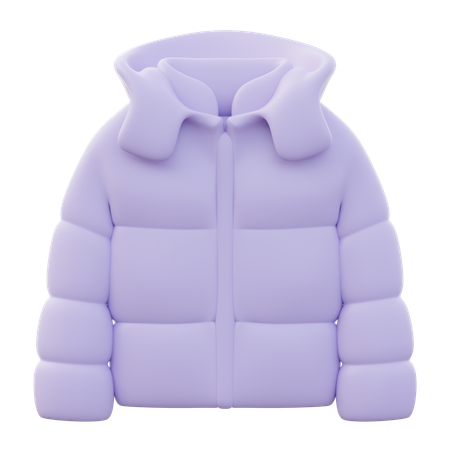Winter jacket Women  3D Icon