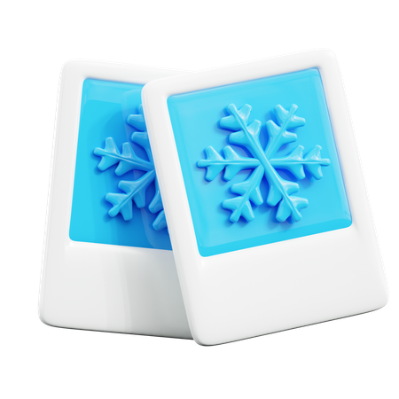 Winter Picture  3D Icon