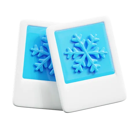 Winter Picture  3D Icon