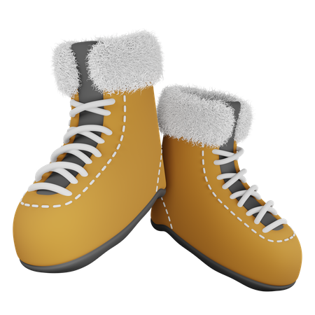 Winter Shoes  3D Icon