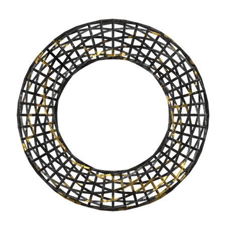 Wireframe Torus  3D Illustration