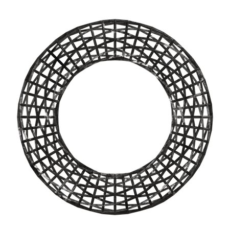 Wireframe Torus  3D Illustration