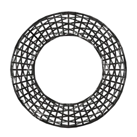 Wireframe Torus  3D Illustration