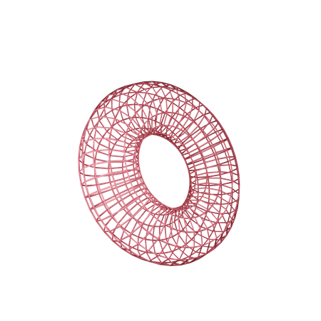 Wireframe Torus 3D Illustration