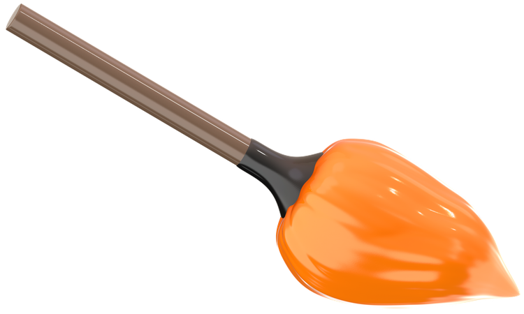 Witch Broom  3D Icon