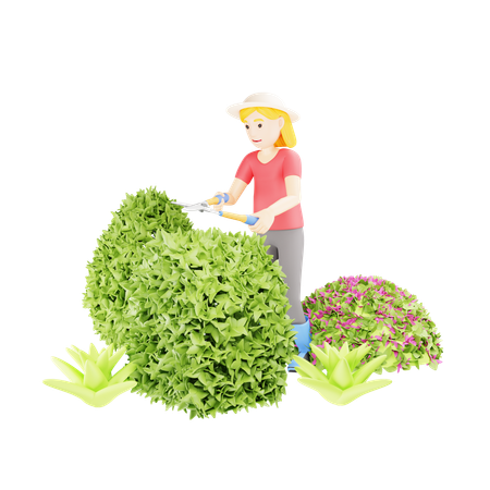 Woman Gardening Maintaining Boxwood  3D Illustration