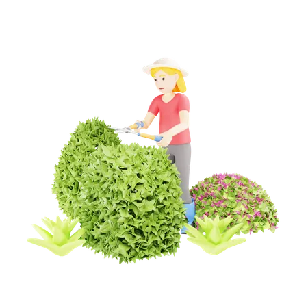 Woman Gardening Maintaining Boxwood  3D Illustration