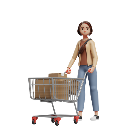 Woman pushing a trolley full of groceries  3D Illustration