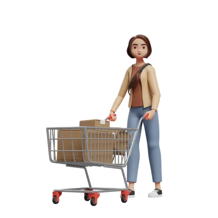 Young Woman Pushing A Trolley Full Of Groceries 3 D Illustration Of A Woman Shopping 3D Illustration
