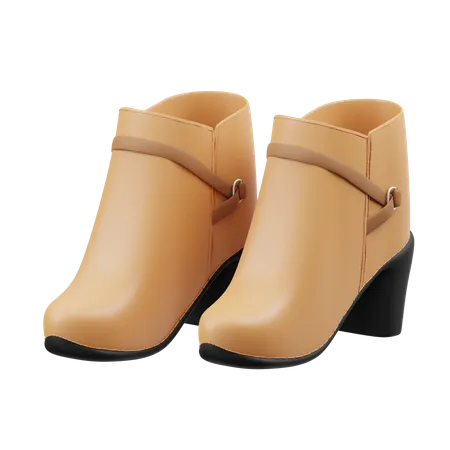 Women Shoes Boots  3D Illustration