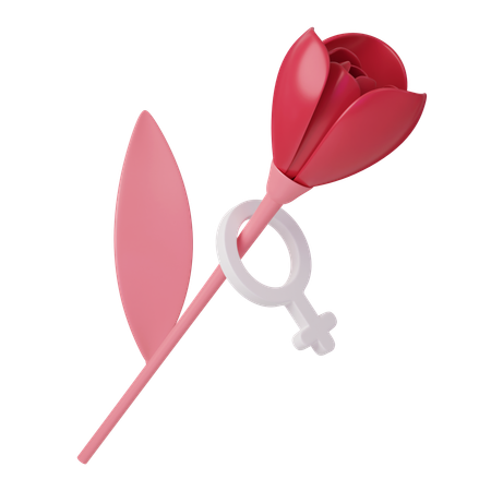Womens Day Rose  3D Icon