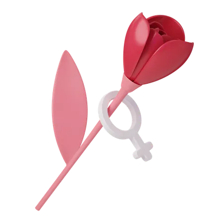 Womens Day Rose  3D Icon