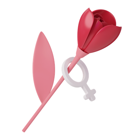 Womens Day Rose  3D Icon