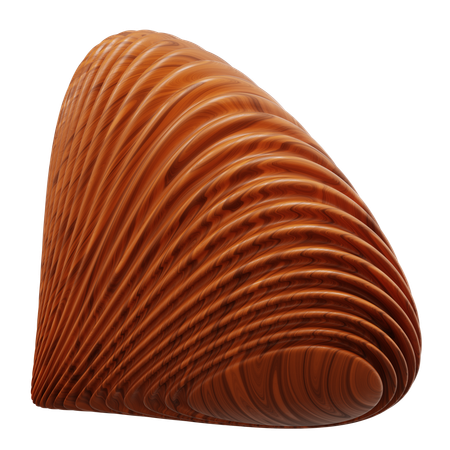 Wood Carving Of A Large Reddishbrown Shell  3D Icon