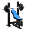 Workout Bench