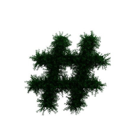 Wreath Hastag  3D Icon