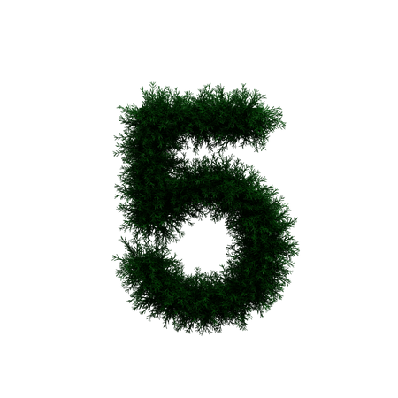 Wreath Number 5  3D Icon