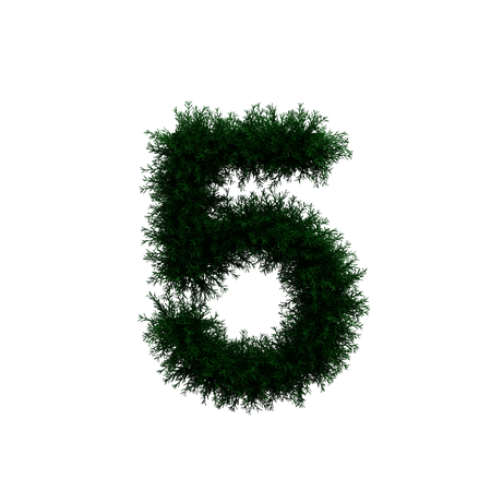 Wreath Number 5  3D Illustration