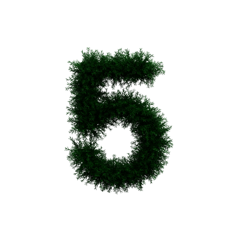 Wreath Number 5 3D Illustration