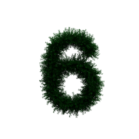 Wreath Number 6  3D Icon