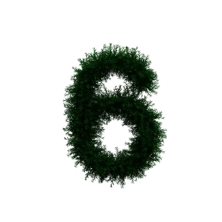 Wreath Number 6  3D Illustration