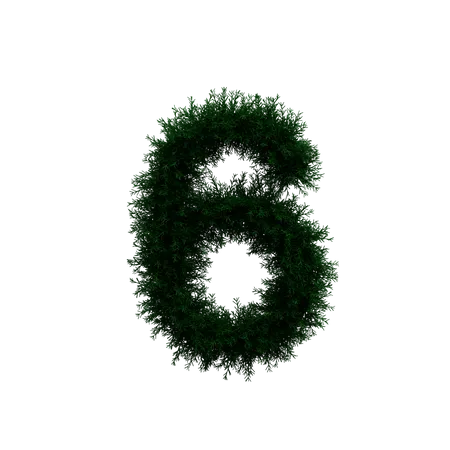 Wreath Number 6 3D Illustration