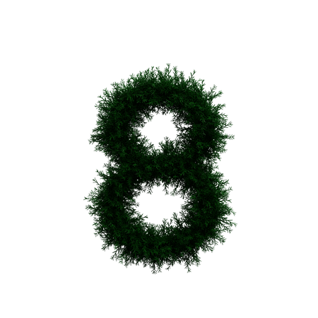 Wreath Number 8  3D Icon