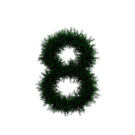 Wreath Number 8  3D Illustration