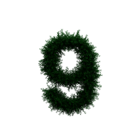 Wreath Number 9  3D Icon