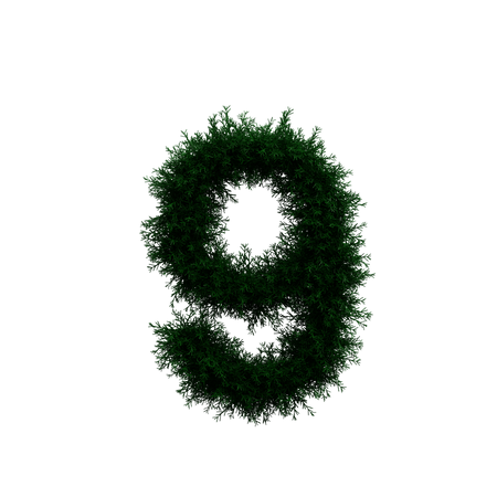 Wreath Number 9 3D Illustration