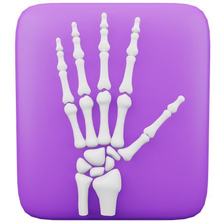 X-Ray  3D Icon