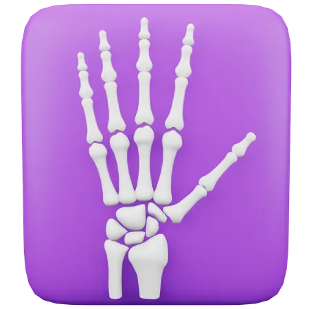 X-Ray  3D Icon