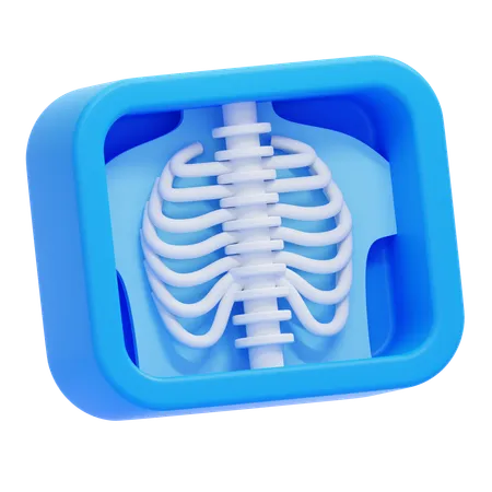 X Ray  3D Icon