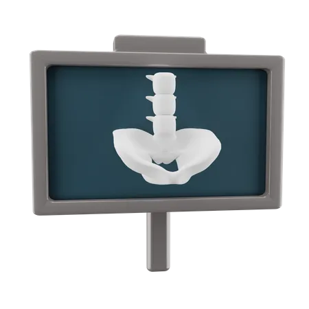 X ray  3D Icon