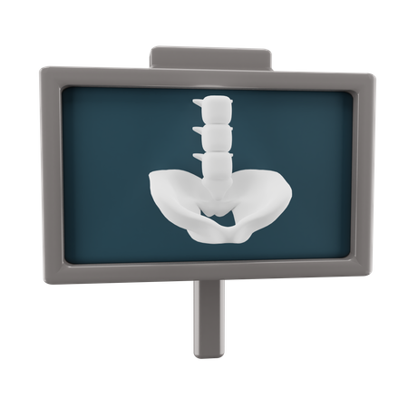 X ray  3D Icon