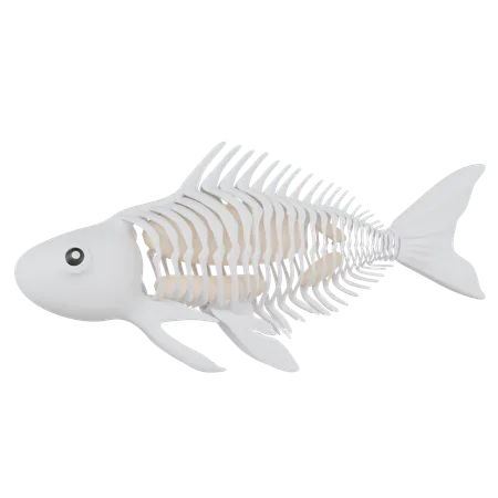 X Ray Fish  3D Icon