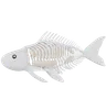 X Ray Fish