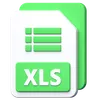 XLS File
