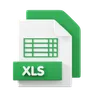 XLS File