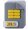 XLS File