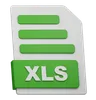 XLS File