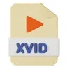 Xvid File