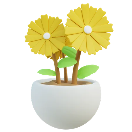 Bright Yellow Gerbera Daisies In Modern White Pot 3D Icon