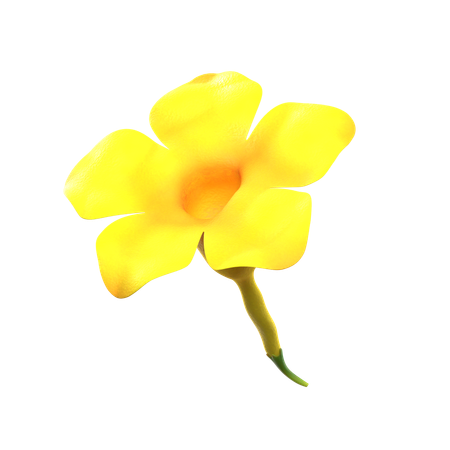 Yellow Natural Flower  3D Icon