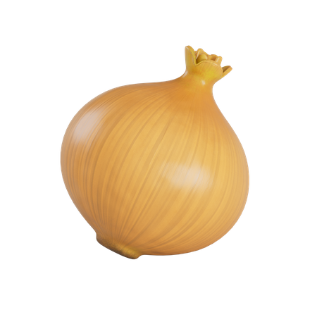 Yellow Onion  3D Illustration