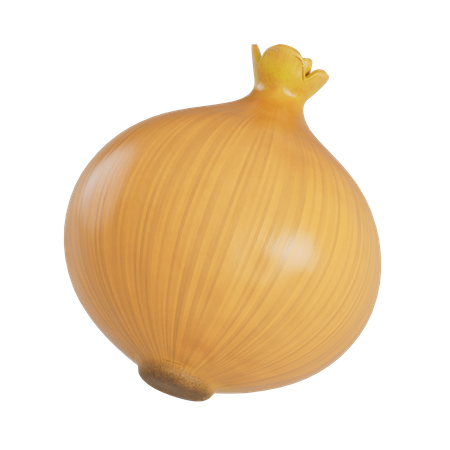 Yellow Onion  3D Illustration