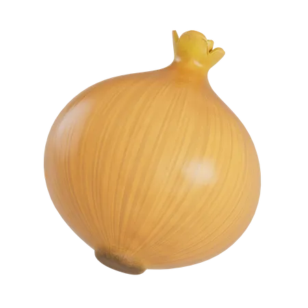 Yellow Onion  3D Illustration