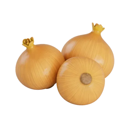 Yellow Onion  3D Illustration