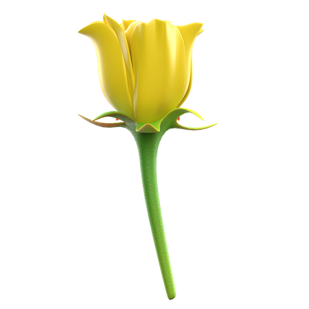 Yellow Rose Flower  3D Icon