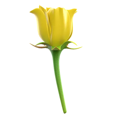 Yellow Rose Flower  3D Icon
